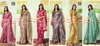 Celina By Vallabhi Printed Designer Brasso Sarees Wholesale Shop In Surat